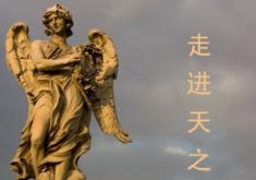 成都天之美医疗美容诊所