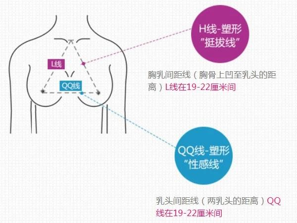 QQ线-完美乳房评测方法 QQ线-完美乳房评测方法