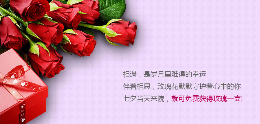 <!--<i data=20240710 data-id=15924></i>-->��Ϧ�֮һ ����Ϧ������Ժ����ѻ��õ��һ֧��