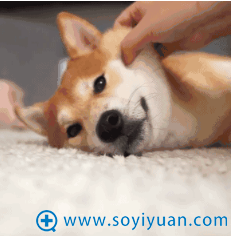 ���ٹ������˼��������һ��ˮ������ֻ֬Ҫ680Ԫ���������