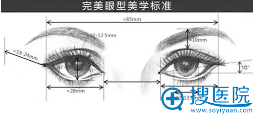 完美眼型美学标准 完美眼型美学标准