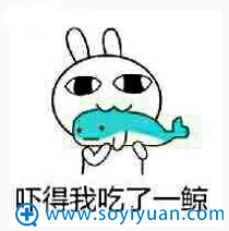 关于鼻部整形 史上全新鼻综合整形方案