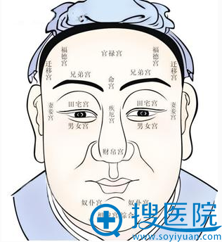 面部十二宫图 面部十二宫图