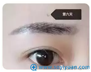 纹眉第六天效果已经很自然了 纹眉第六天效果已经很自然了