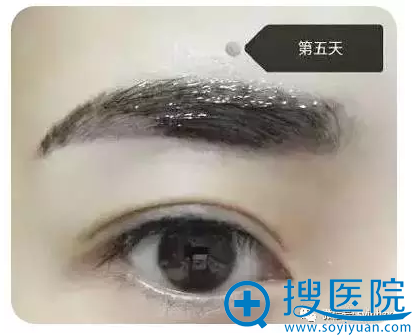 纹眉第五天开始掉色了 纹眉第五天开始掉色了