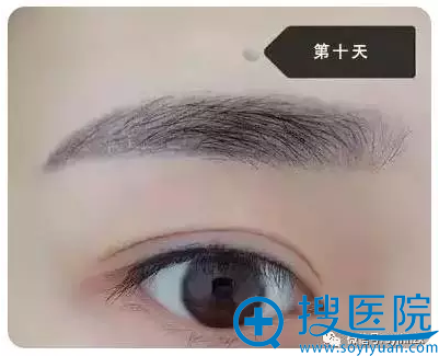 纹眉第十天的样子 纹眉第十天的样子