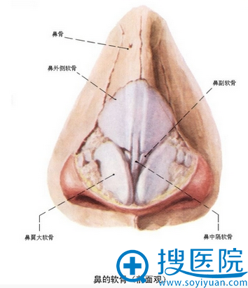 硅胶能保持终生一辈子不取出么?哪些人不适合硅胶隆鼻?
