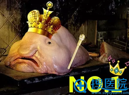 【案例】找上海伊莱美邱文苑主任做自体耳软骨隆鼻2周了