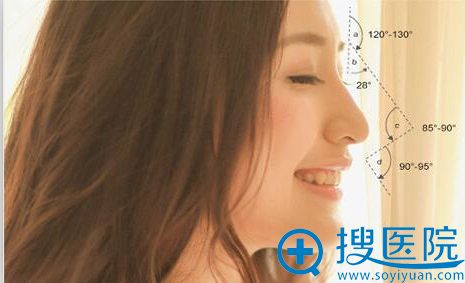 精分21个鼻区 全鼻精雕美塑 精分21个鼻区 全鼻精雕美塑