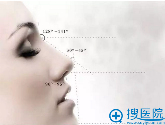 完美的鼻部形态标准 完美的鼻部形态标准