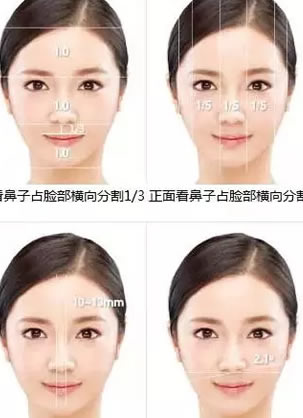 假体隆鼻和鼻综合有什么区别?大概价格是多少钱呢?