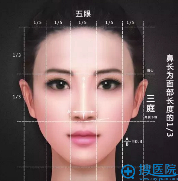 三庭五眼审美标准示意图 三庭五眼审美标准示意图