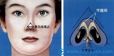 穹窿 穹窿