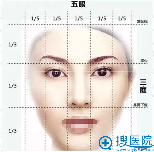 �������沿��ͥ���۵ı���
