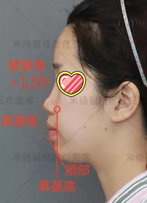 �����������������Ƽ���¡��ʧ���޸��ͺͼ���¡������˰���