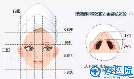标准鼻翼形态及宽度 标准鼻翼形态及宽度