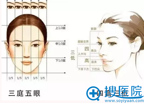 郑州东方下巴设计美学标准 郑州东方下巴设计美学标准