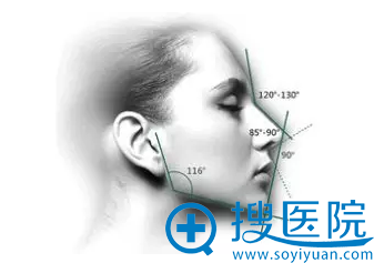 美鼻标准示意图 美鼻标准示意图