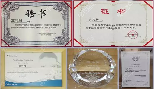高兴柳所获荣誉证书 高兴柳所获荣誉证书