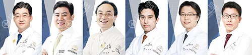 韩国丽珍医生团队 韩国丽珍医生团队