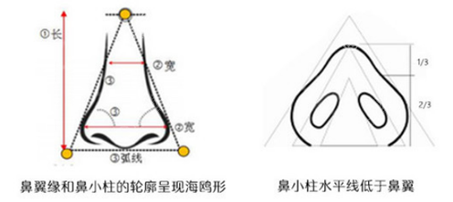那些说鼻翼鼻头缩小千万别做后悔的人是因为这五点才阻止你手术