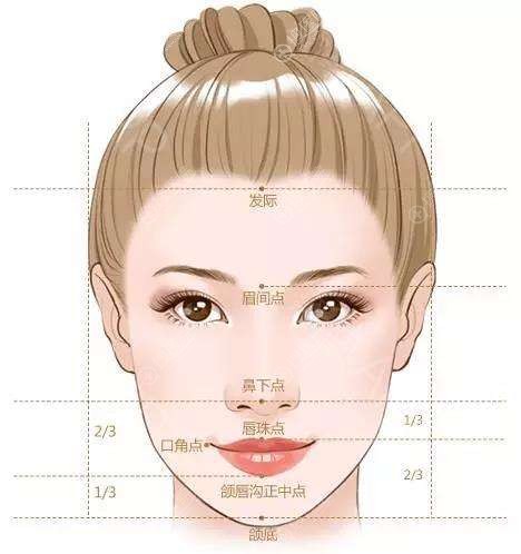 面部美学标准图 面部美学标准图