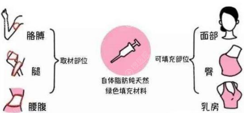 ���ս�������֬���沿������󼡷��´�������ԭ��