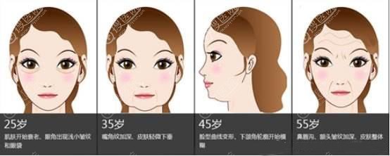 各年龄阶段衰老程度 各年龄阶段衰老程度