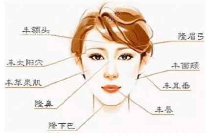 自体脂肪填充面部部位图 自体脂肪填充面部部位图