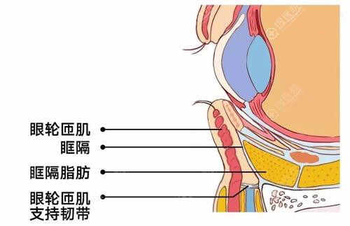 疫情期间经常熬夜是会形成真正的眼袋哦