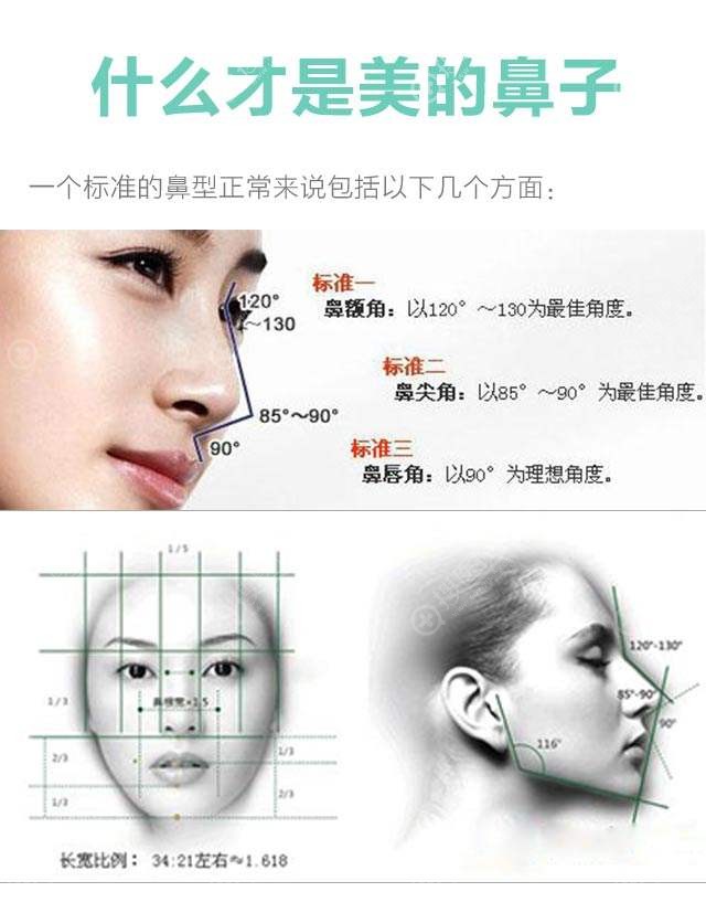鼻子的美学标准 鼻子的美学标准