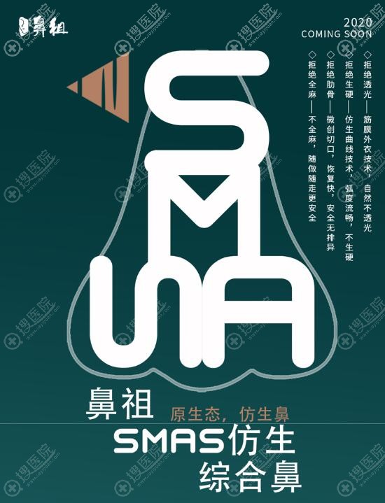 SMAS仿生综合鼻优势 SMAS仿生综合鼻优势