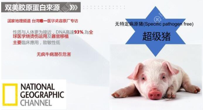 什么是双美胶原蛋白? 什么是双美胶原蛋白?