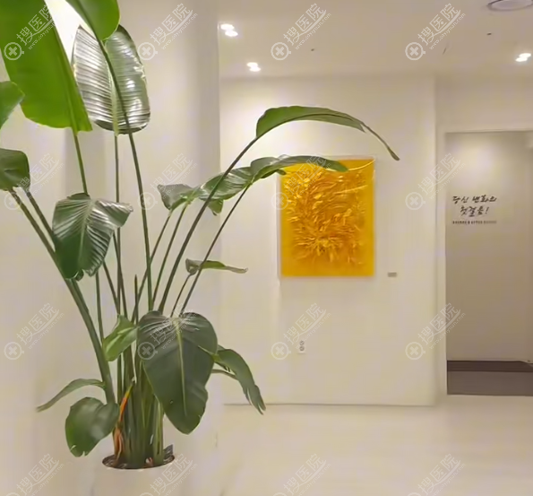 韓國BNA皮膚科硬核儀器 韓國BNA皮膚科硬核儀器