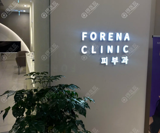 �n�����forenaƤ�w��