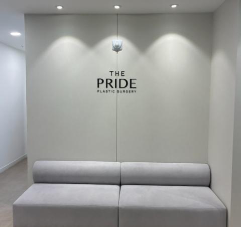 the PRIDE�հ���������