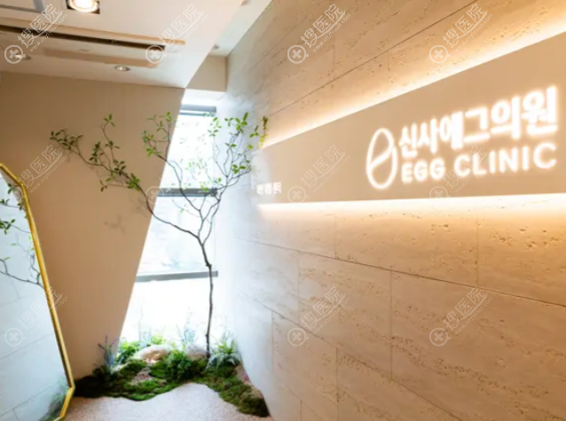 主要開診項目及特色技術 主要開診項目及特色技術