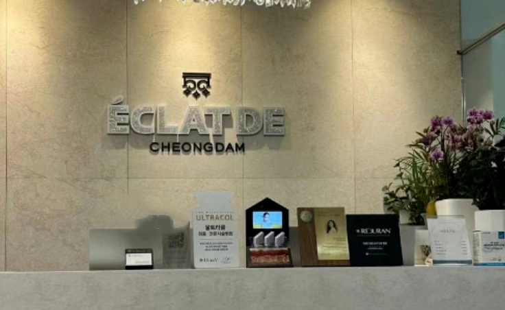 ��̶EclatdeƤ�w��