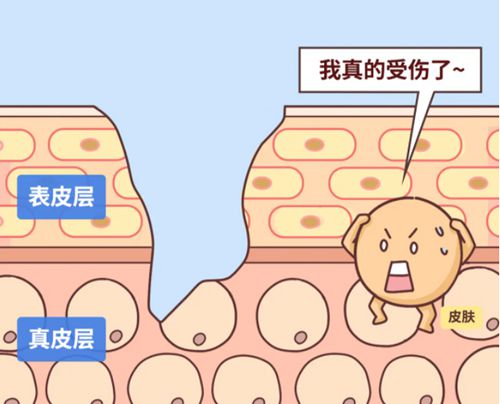 一、上海瑞椿医院疤痕修复靠谱吗——多维度实力深度解析