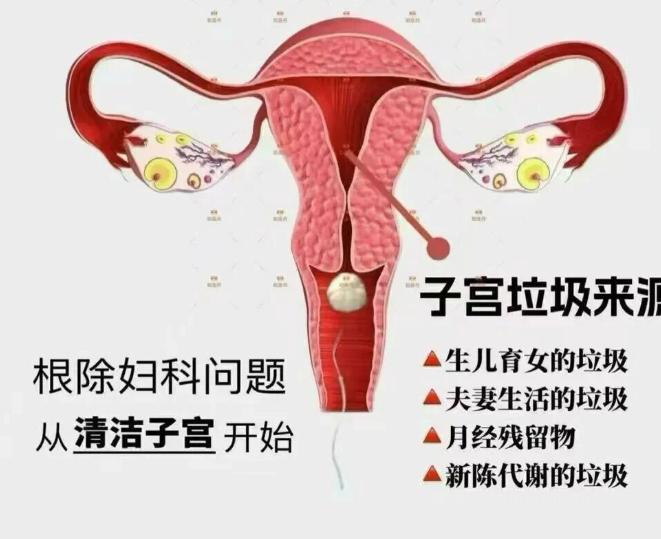二、 上海新亚伯医疗美容门诊部核心团队:双学科背景铸就私密领域