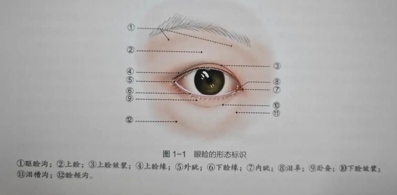 2. 眼修复(核心招牌)