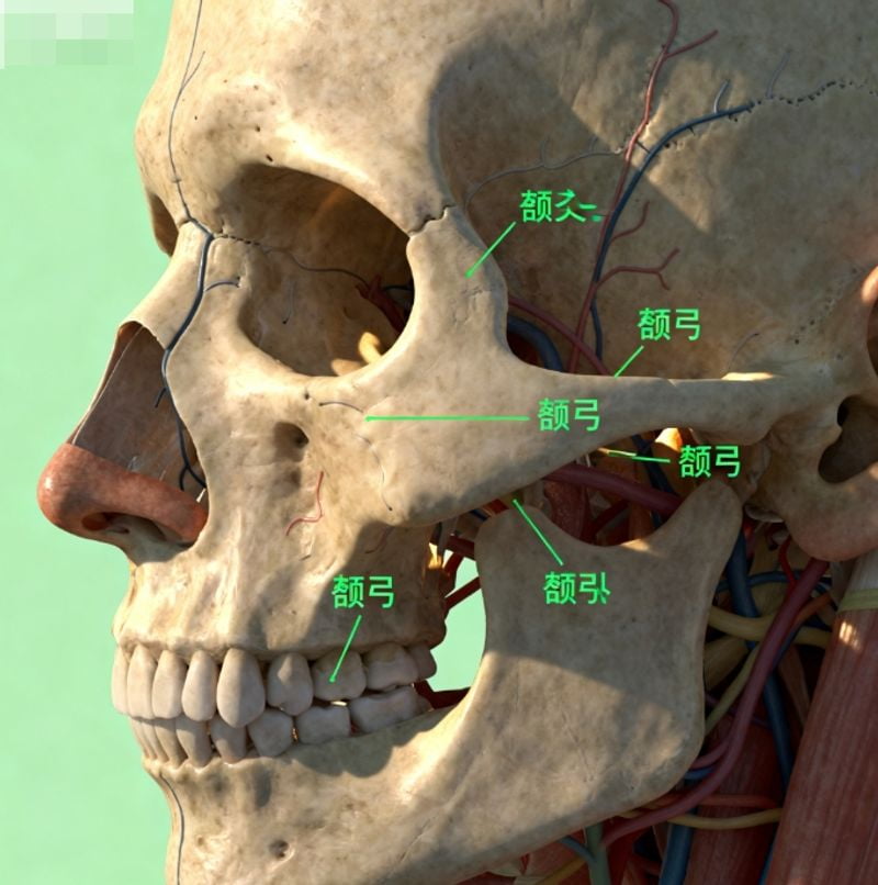 三、北京张笑天的审美理念:自然、耐看、不网红