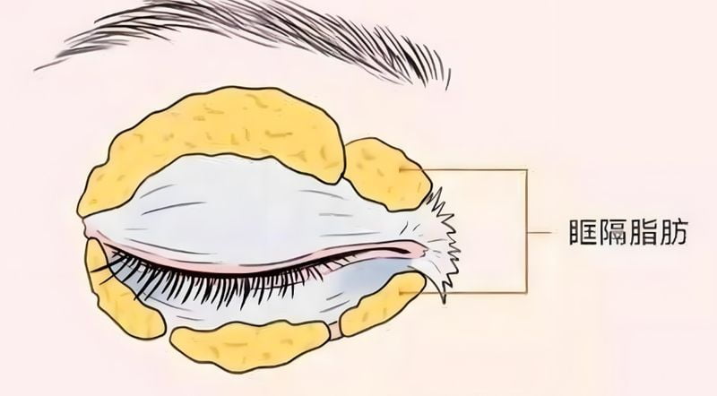 2. 常见私密项目覆盖