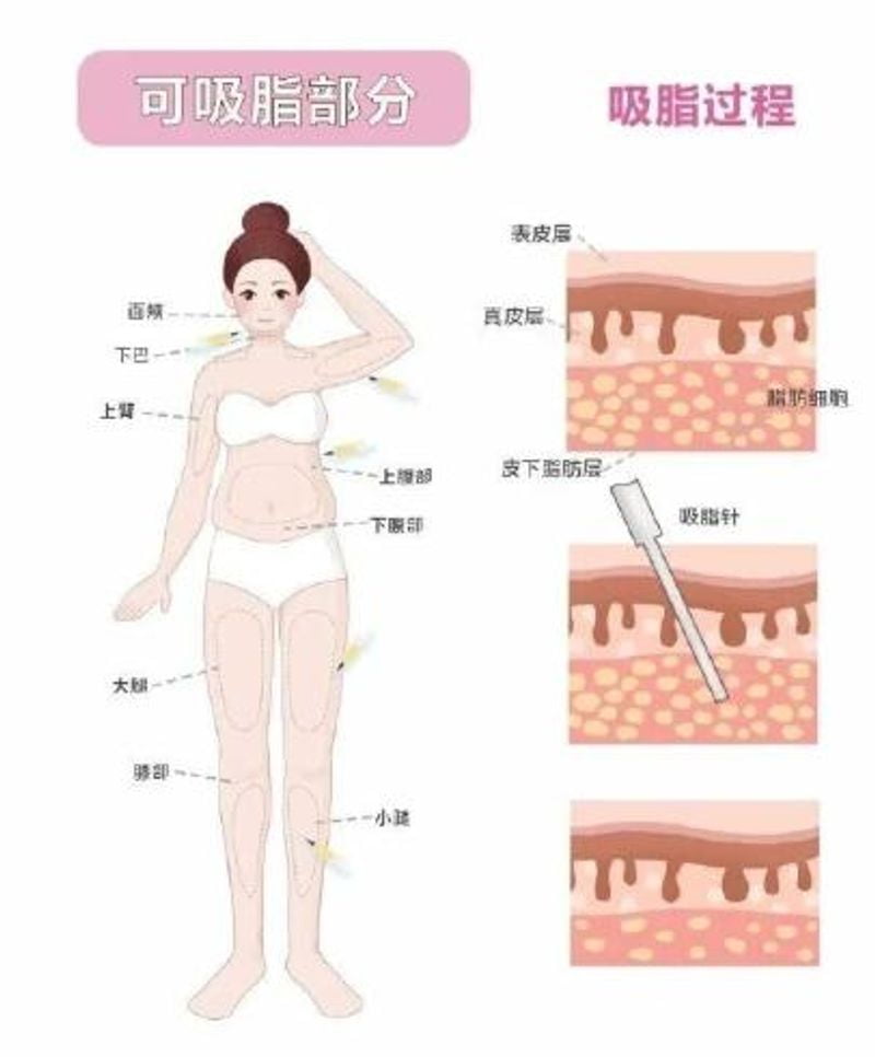 ������Т������֬��������Щ����֮��