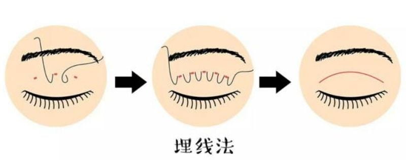 2. 师承杜园园: