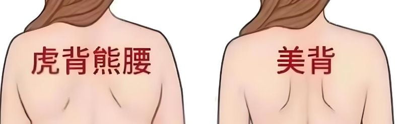 2. 与同台的技术生态