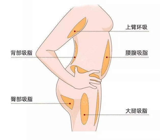 北京纯脂冯斌医生怎么预约 北京纯脂冯斌医生怎么预约