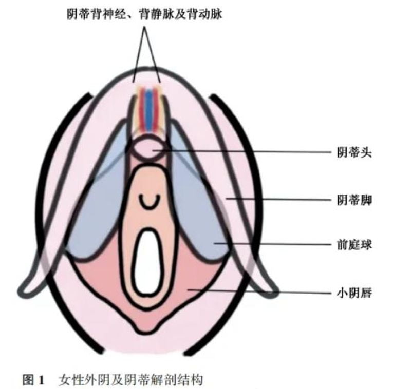 三、黃静医生的私密整形技术好在哪