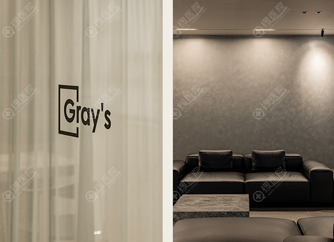 ��ɽGray'sƤ�w��ɳ�l�^