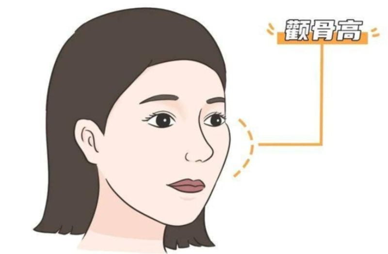 二、朴相薰的強項:哪些項目「抓輪廓」比較對味?
